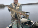 Spring 2020 Northern Pike