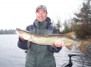 Turtle Chalet-Spring Muskie