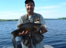 Turtle Flowage-Large Smallie