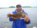 TFF-Nice smallie