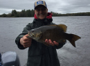 Beautiful Spring 2018 Smallie