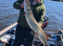 Dan with very nice fall 45 inch muskie in fall 2018