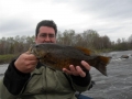 Turtle Chalet-Spring smallie