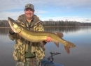 Turtle Chalet - 45 inches TFF musky