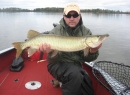 TFF-Nice Musky