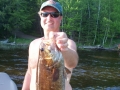 TFF-Nice Spring smallie