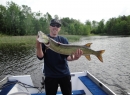 TFF-Nice spring musky