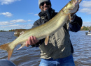 Fall 2020 Musky