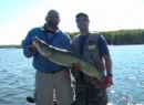 Turtle Flowage-Large musky