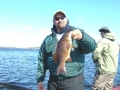 Turtle Chalet-Nice late spring smallie