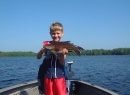 Turtle Chalet-Nice smallie