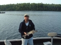 Turtle Flowage-Nice walleye