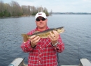 TFF-Male walleye